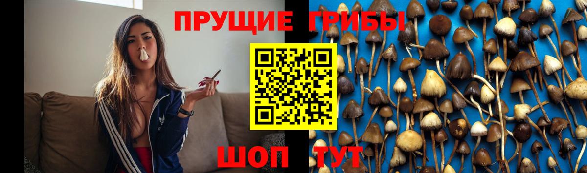 Галлюциногенные грибы прущие грибы  Вход с VPN  Псилоцибиновые грибы ЛСД  Волхов 